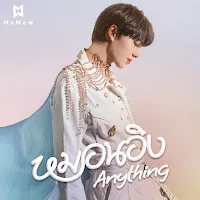 Nunew — หมอนอิง (Anything) — обложка
